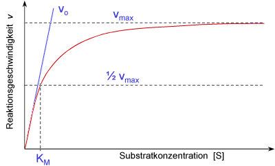 Frage enzym substrat komplex ablaufenden reaktion